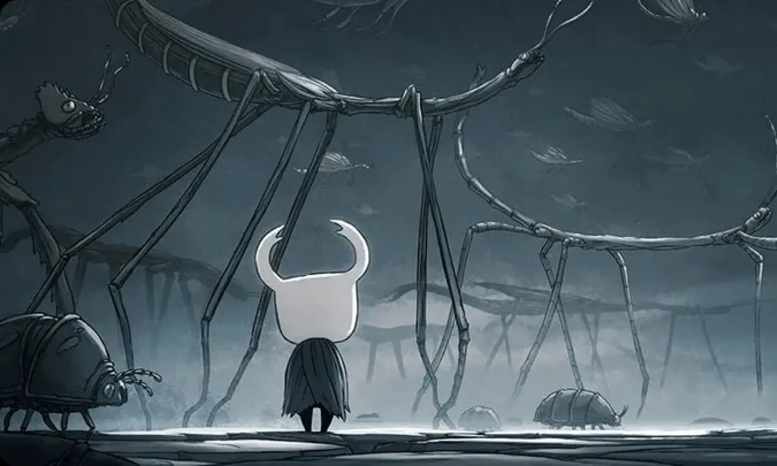 空洞骑士hollow knight