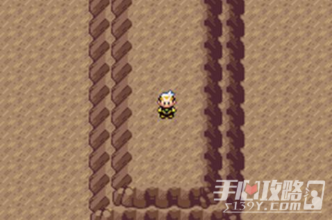 口袋妖怪究极之日